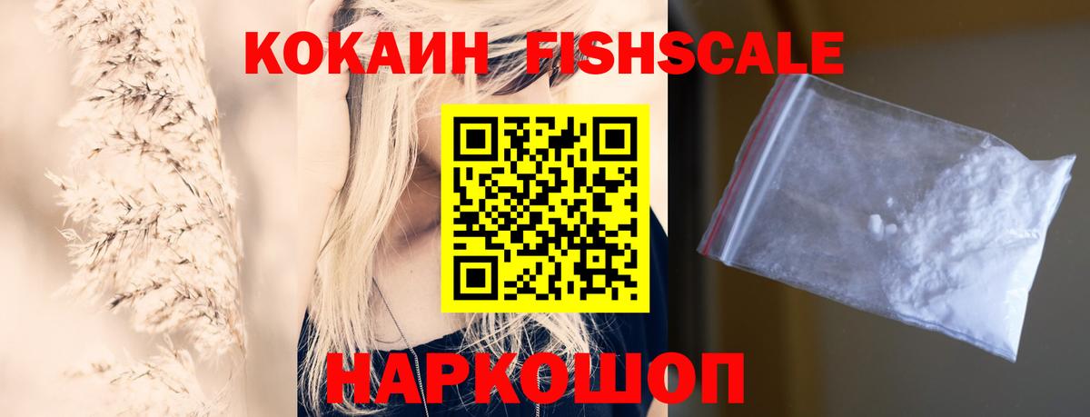 Кокаин Fish Scale  закладка  Новозыбков  Вход с VPN  Кокаин Эквадор 