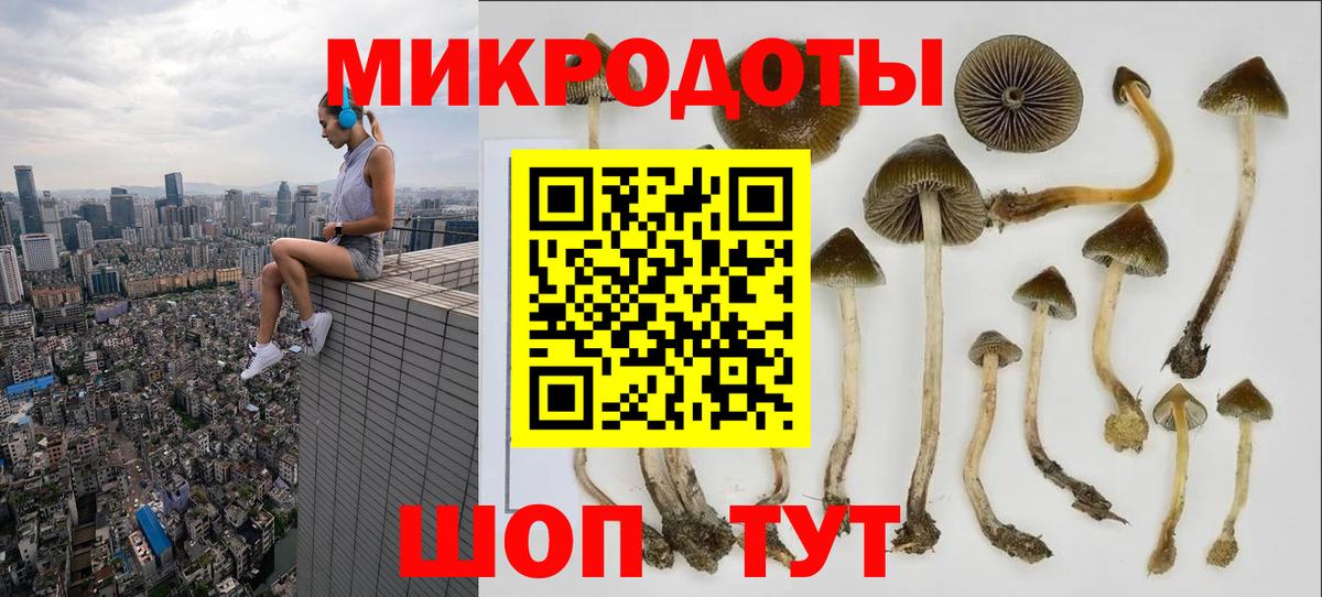 Галлюциногенные грибы GOLDEN TEACHER  Вход с VPN  Новозыбков 