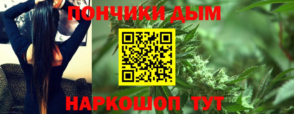Канабис сатива Новозыбков